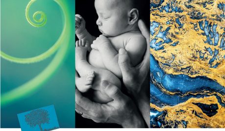 Soirée de présentation du livre « La singularité du vivant »