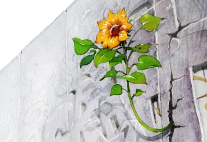 Congrès national Cpp