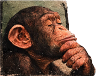 singe2